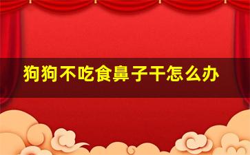 狗狗不吃食鼻子干怎么办