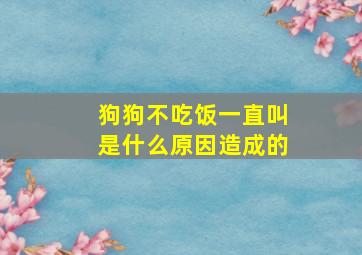 狗狗不吃饭一直叫是什么原因造成的