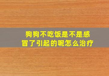 狗狗不吃饭是不是感冒了引起的呢怎么治疗