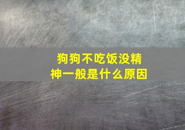 狗狗不吃饭没精神一般是什么原因