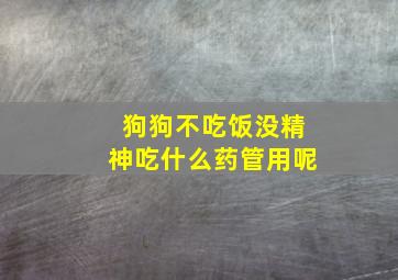 狗狗不吃饭没精神吃什么药管用呢