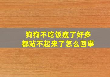 狗狗不吃饭瘦了好多都站不起来了怎么回事