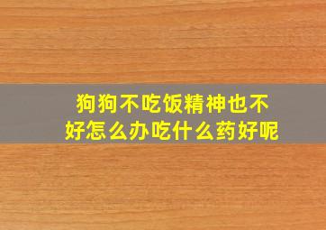 狗狗不吃饭精神也不好怎么办吃什么药好呢