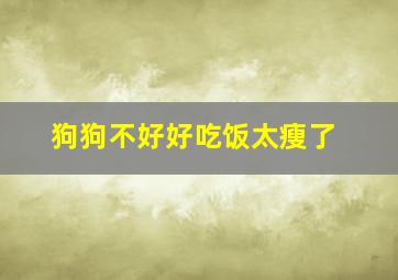 狗狗不好好吃饭太瘦了