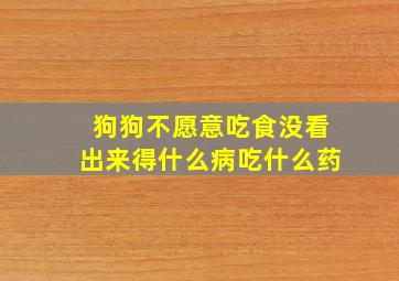 狗狗不愿意吃食没看出来得什么病吃什么药