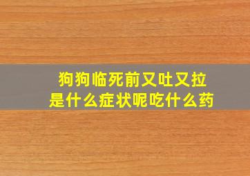 狗狗临死前又吐又拉是什么症状呢吃什么药