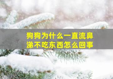 狗狗为什么一直流鼻涕不吃东西怎么回事