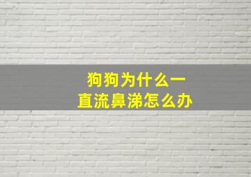 狗狗为什么一直流鼻涕怎么办