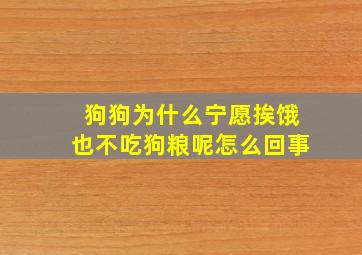 狗狗为什么宁愿挨饿也不吃狗粮呢怎么回事