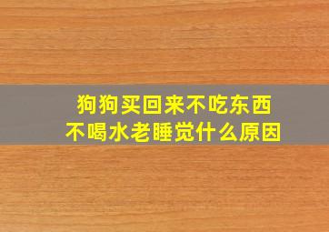 狗狗买回来不吃东西不喝水老睡觉什么原因