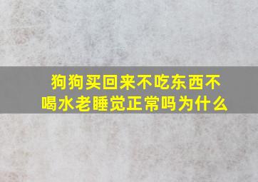 狗狗买回来不吃东西不喝水老睡觉正常吗为什么