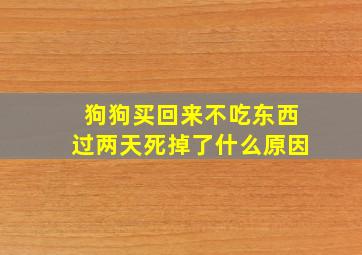 狗狗买回来不吃东西过两天死掉了什么原因