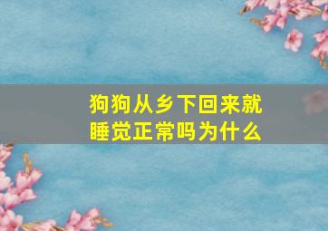 狗狗从乡下回来就睡觉正常吗为什么