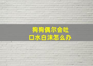 狗狗偶尔会吐口水白沫怎么办