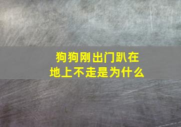 狗狗刚出门趴在地上不走是为什么