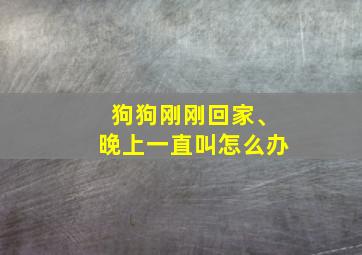 狗狗刚刚回家、晚上一直叫怎么办