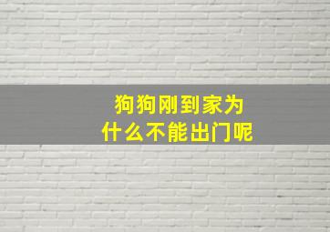 狗狗刚到家为什么不能出门呢