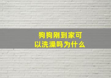 狗狗刚到家可以洗澡吗为什么