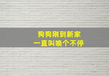 狗狗刚到新家一直叫唤个不停