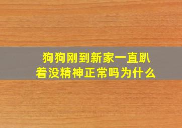 狗狗刚到新家一直趴着没精神正常吗为什么