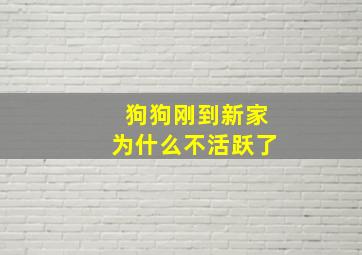 狗狗刚到新家为什么不活跃了