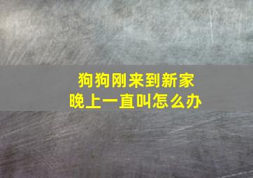 狗狗刚来到新家晚上一直叫怎么办