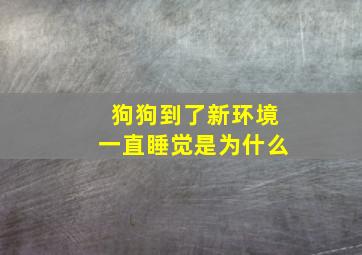 狗狗到了新环境一直睡觉是为什么