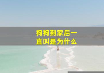 狗狗到家后一直叫是为什么