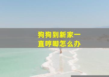 狗狗到新家一直哼唧怎么办