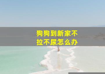 狗狗到新家不拉不尿怎么办