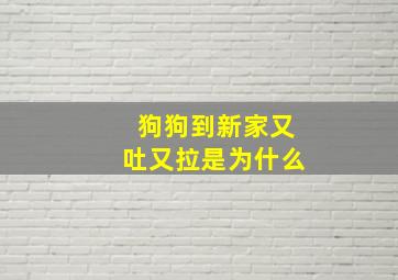 狗狗到新家又吐又拉是为什么