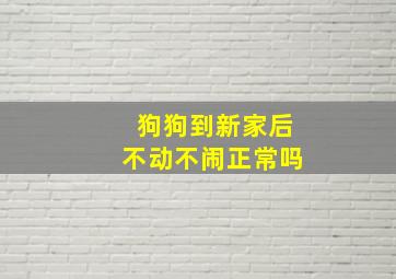 狗狗到新家后不动不闹正常吗