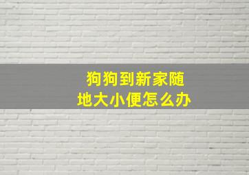 狗狗到新家随地大小便怎么办