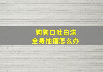 狗狗口吐白沫全身抽搐怎么办