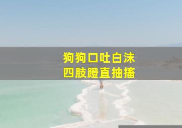 狗狗口吐白沫四肢蹬直抽搐