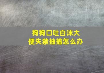 狗狗口吐白沫大便失禁抽搐怎么办