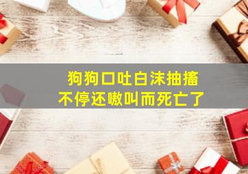 狗狗口吐白沫抽搐不停还嗷叫而死亡了