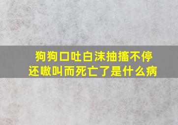 狗狗口吐白沫抽搐不停还嗷叫而死亡了是什么病