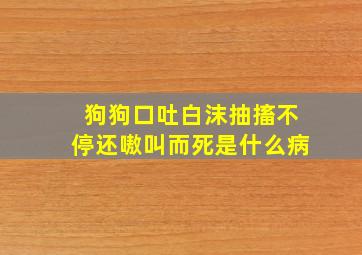 狗狗口吐白沫抽搐不停还嗷叫而死是什么病