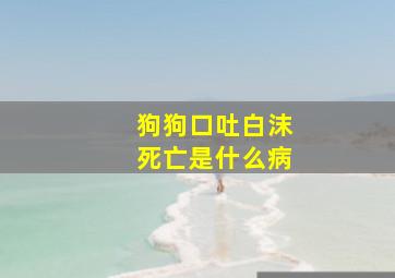 狗狗口吐白沫死亡是什么病