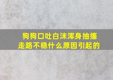 狗狗口吐白沫浑身抽搐走路不稳什么原因引起的