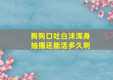 狗狗口吐白沫浑身抽搐还能活多久啊