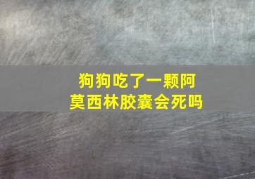 狗狗吃了一颗阿莫西林胶囊会死吗