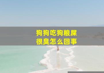 狗狗吃狗粮屎很臭怎么回事