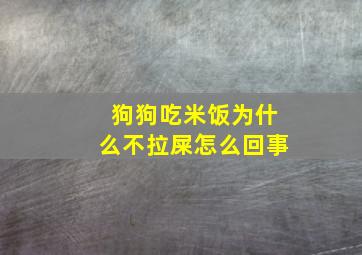 狗狗吃米饭为什么不拉屎怎么回事