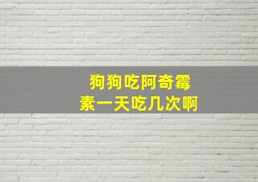 狗狗吃阿奇霉素一天吃几次啊