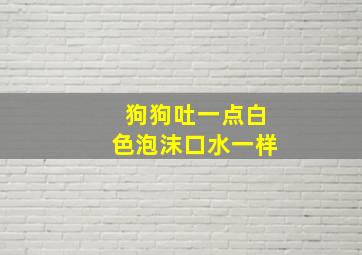 狗狗吐一点白色泡沫口水一样