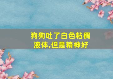 狗狗吐了白色粘稠液体,但是精神好