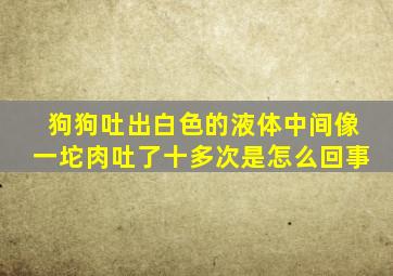 狗狗吐出白色的液体中间像一坨肉吐了十多次是怎么回事