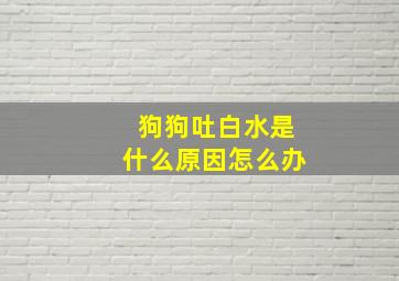 狗狗吐白水是什么原因怎么办